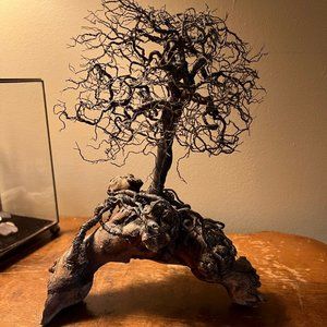 OOAK Copper Bonsai Tree Sculpture on Driftwood